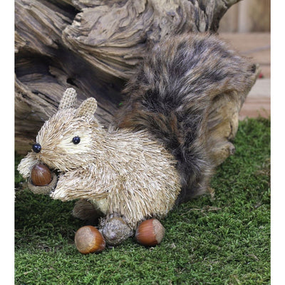 Eichhörnchen sitzend