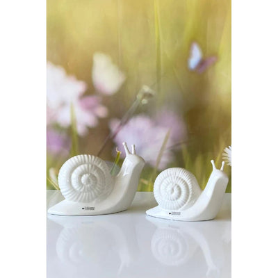 Schnecke Berta creme-weiß