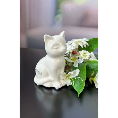 Katze Bella creme-weiß