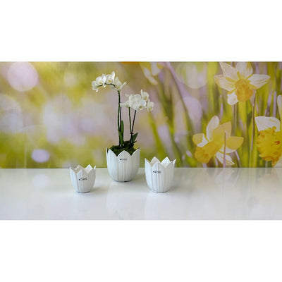 Kübel Tolina creme - weiß