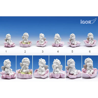 Engel Olga auf Blüte weiss/rosa